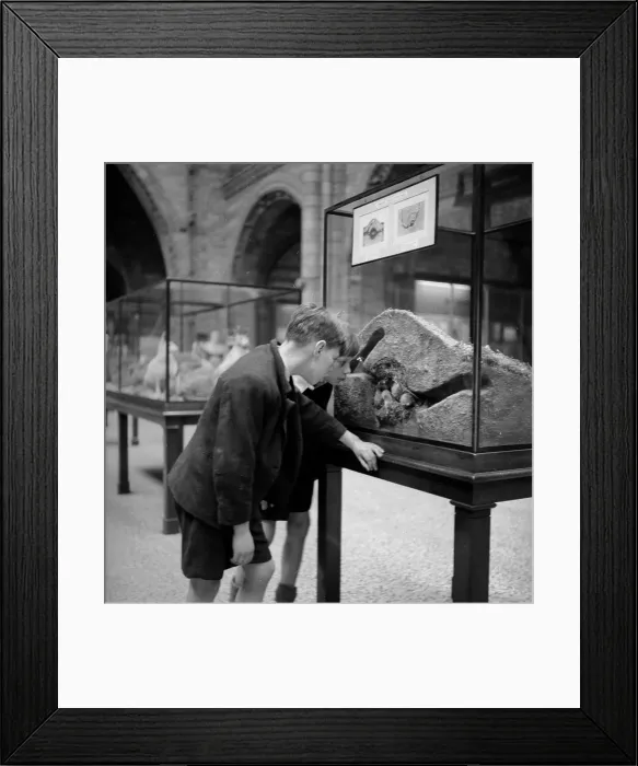 Framed Print : What Are They ? Framed Print : What Are They ?