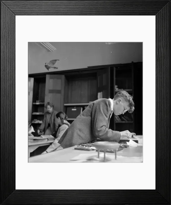 Framed Print : Young Researcher Framed Print : Young Researcher