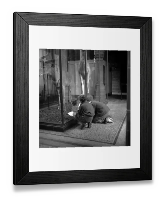 Framed Print : Getting Down To It