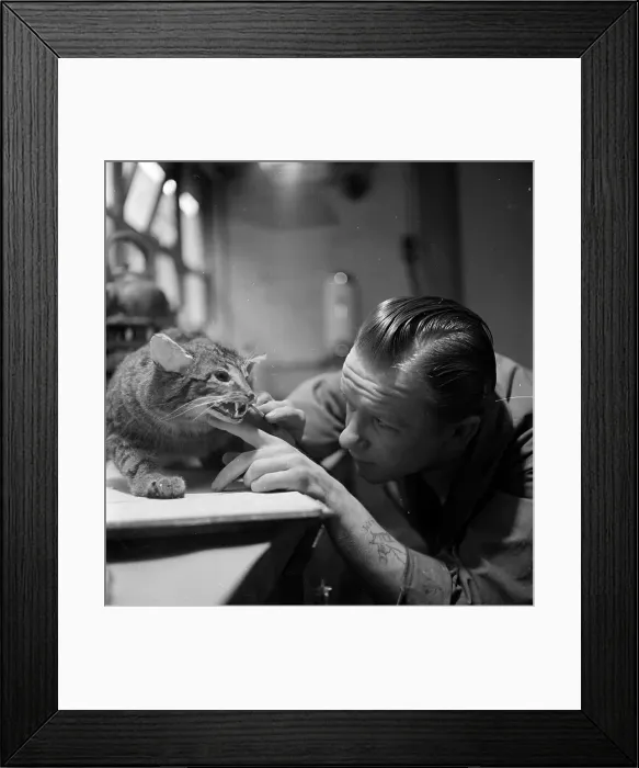 Framed Print : Smile Please