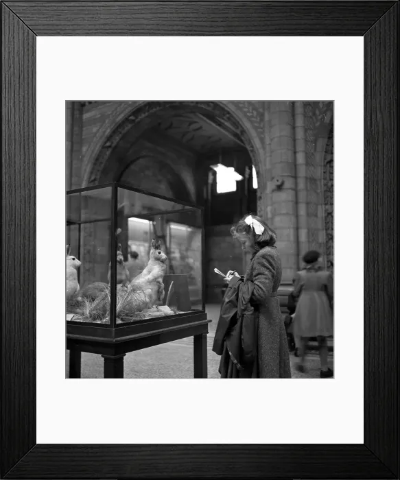 Framed Print : Keep Still Please Framed Print : Keep Still Please