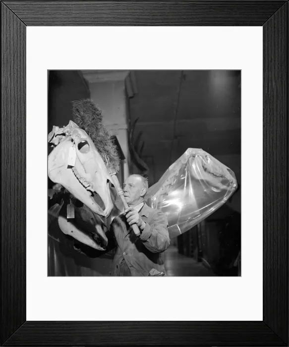Framed Print : Dusty Bones Framed Print : Dusty Bones