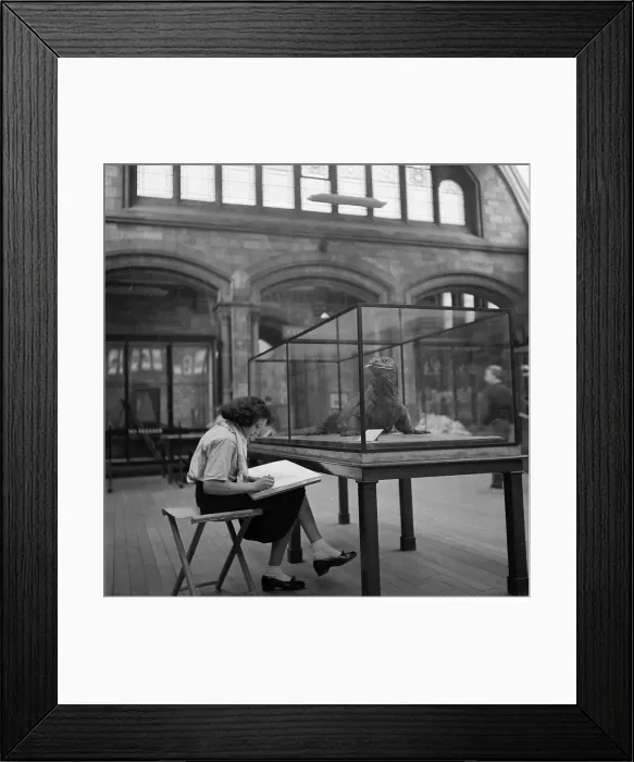 Framed Print : Giant Lizard Framed Print : Giant Lizard