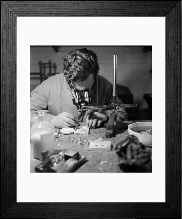 Framed Print : Nothing Too Small Framed Print : Nothing Too Small