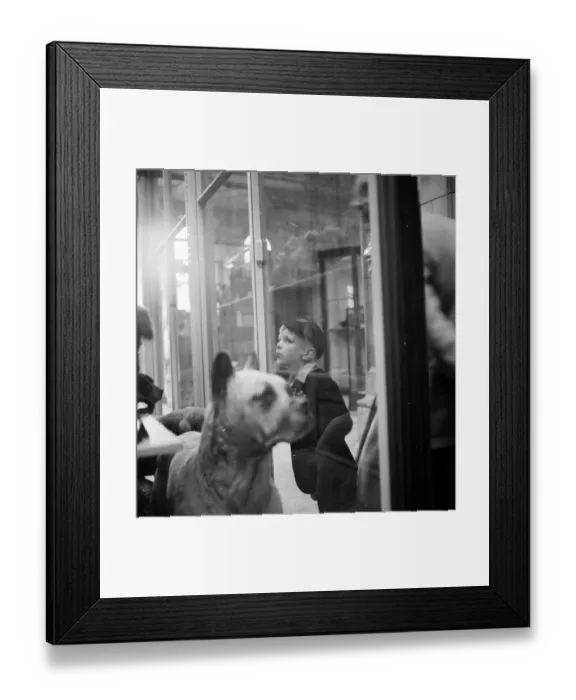 Framed Print : Whats That ? Framed Print : Whats That ?