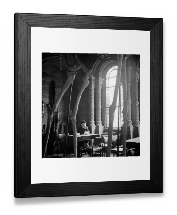 Framed Print : Food For Thought Framed Print : Food For Thought