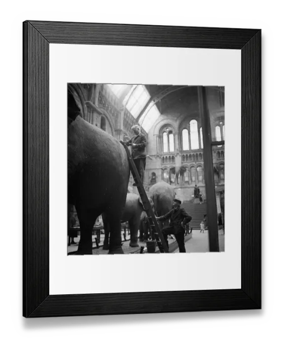 Framed Print : Back Scrub Framed Print : Back Scrub