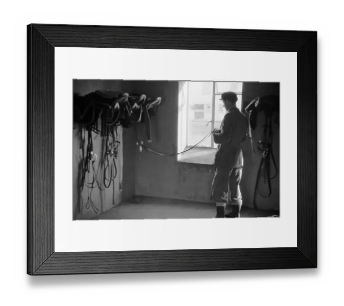 Framed Print : Tack Man. 28th February 1953: A stablehand arranges the tack at Vincent Framed Print : Tack Man. 28th February 1953: A stablehand arranges the tack at Vincent