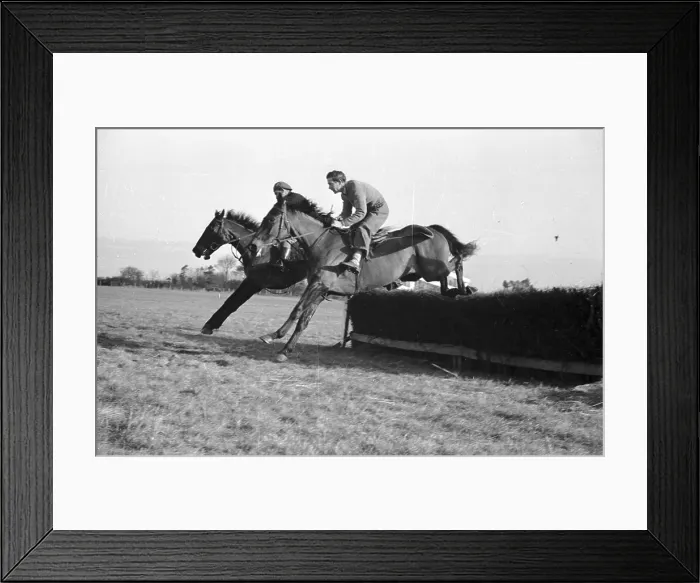 Framed Print : A National Winner ? Framed Print : A National Winner ?