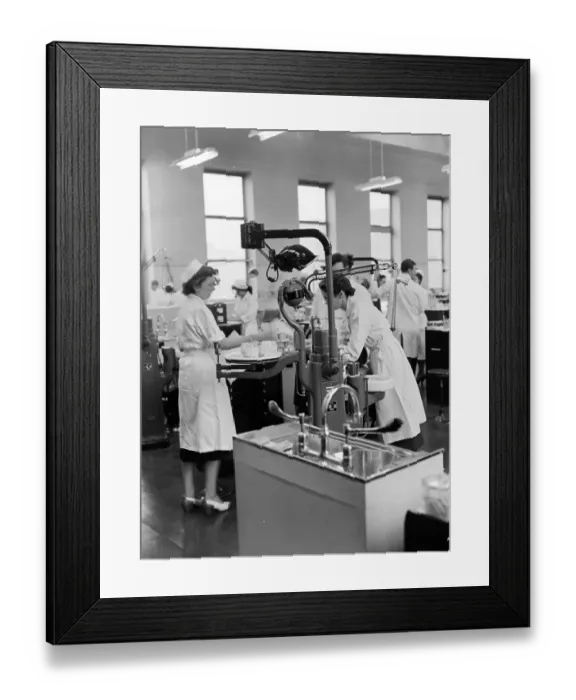 Framed Print : Dental Model Framed Print : Dental Model