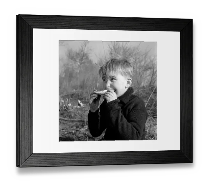 Framed Print : Outdoor Snack Framed Print : Outdoor Snack