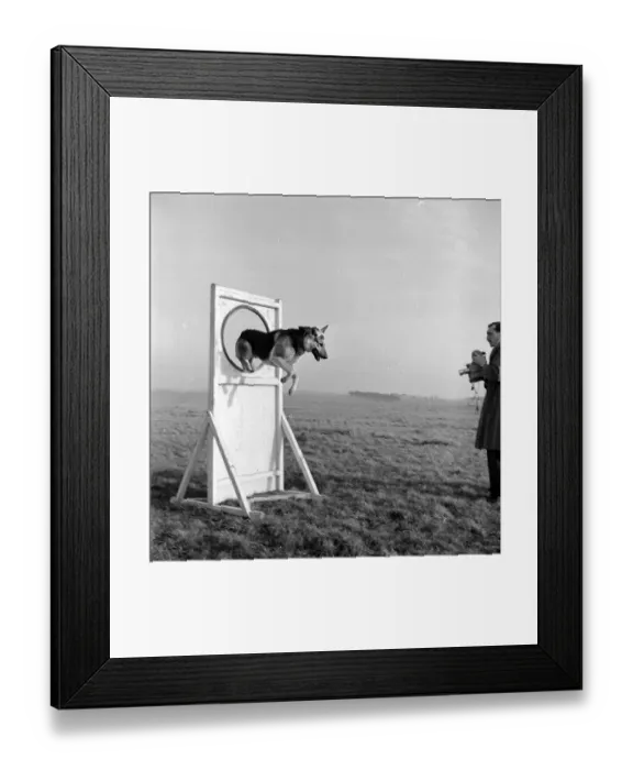 Framed Print : Through The Hoops Framed Print : Through The Hoops