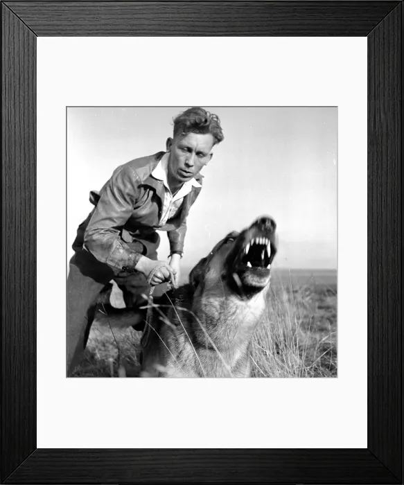 Framed Print : The Trainer Framed Print : The Trainer