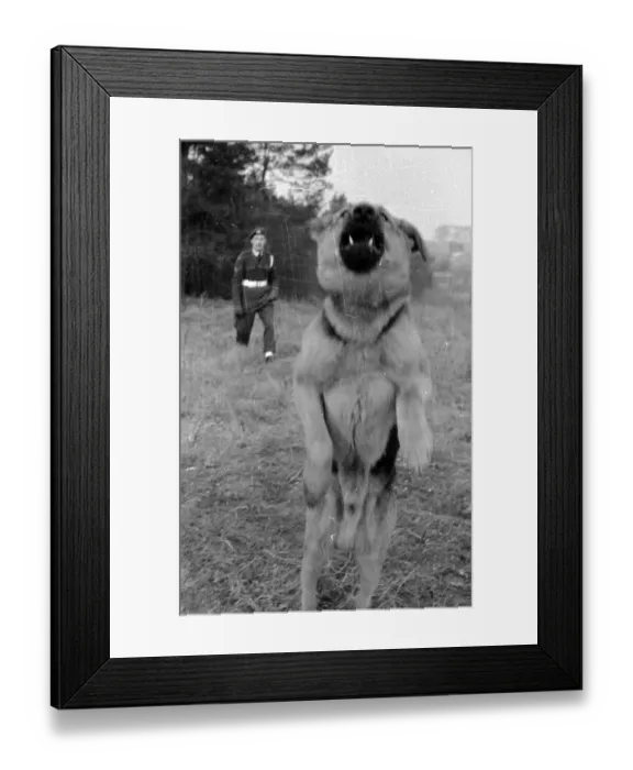 Framed Print : Look Before You Leap Framed Print : Look Before You Leap