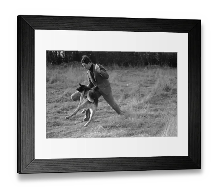Framed Print : Guarding The Base Framed Print : Guarding The Base