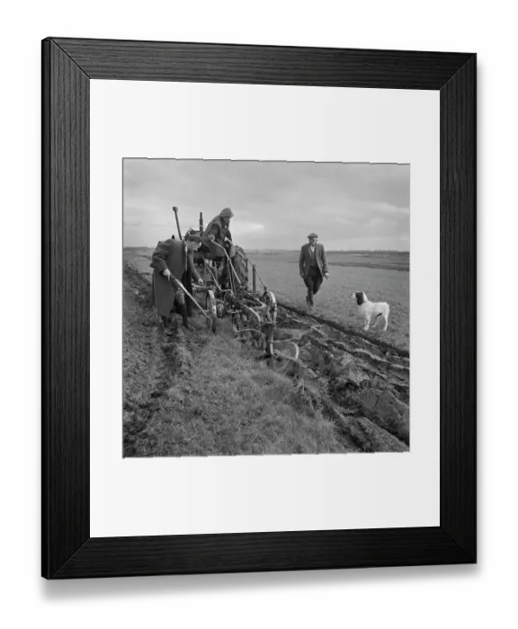 Framed Print : Farmers Ploughing Field, 1953 Framed Print : Farmers Ploughing Field, 1953