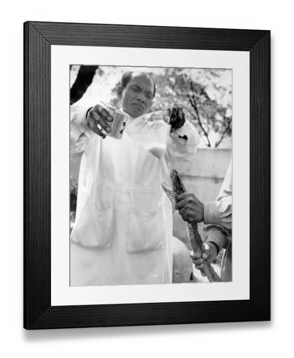 Framed Print : Snake Handler Framed Print : Snake Handler