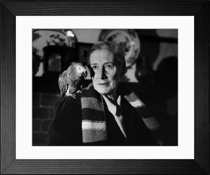 Framed Print : Nancy Price Framed Print : Nancy Price