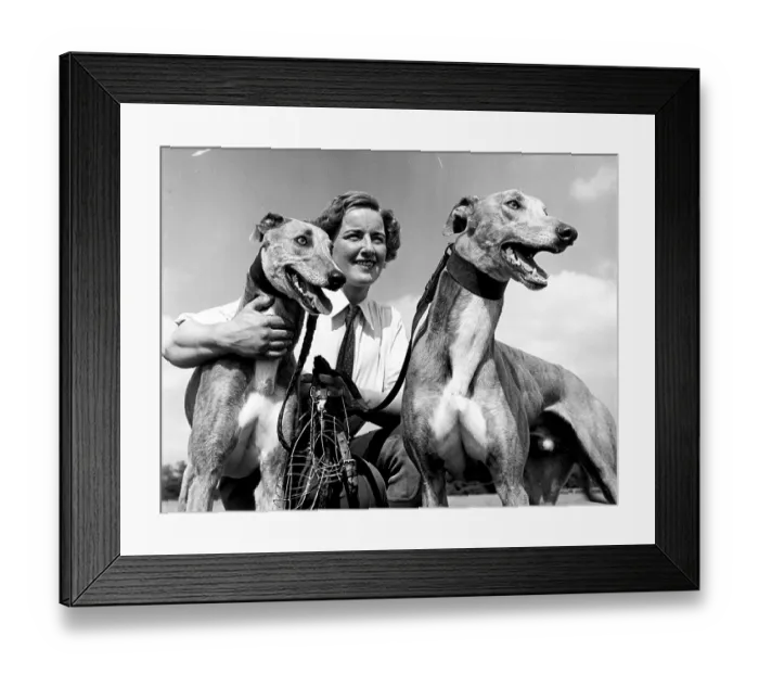 Framed Print : White City Dogs Framed Print : White City Dogs
