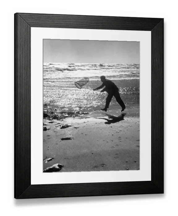 Framed Print : Lepidopterist Framed Print : Lepidopterist
