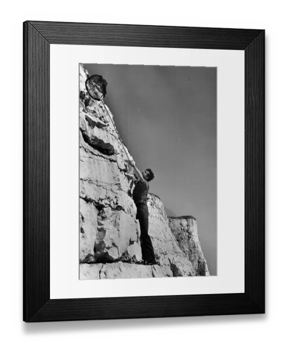 Framed Print : Butterfly Catching Framed Print : Butterfly Catching