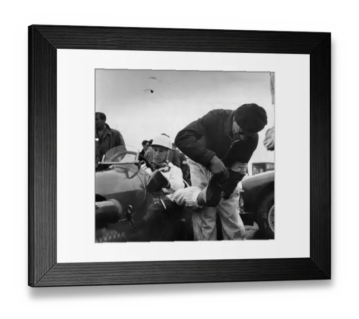 Framed Print : Moss Underfoot Framed Print : Moss Underfoot