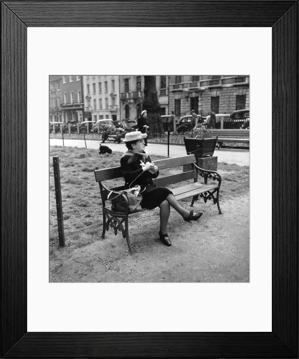 Framed Print : Knitting. A woman knitting on a park bench in Berkeley Square, London Framed Print : Knitting. A woman knitting on a park bench in Berkeley Square, London