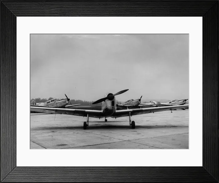 Framed Print : Flying Chipmunk Framed Print : Flying Chipmunk