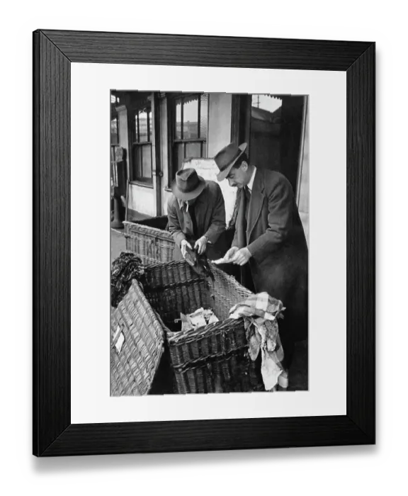 Framed Print : Harrow Crash