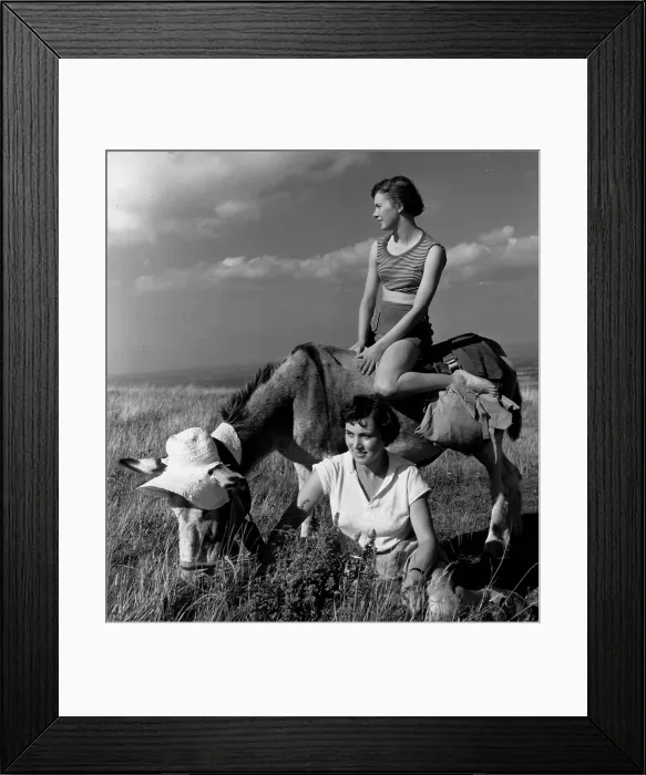 Framed Print : Donkey Ride Framed Print : Donkey Ride