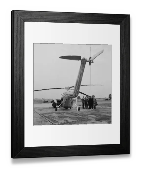 Framed Print : Bristol Sycamore Framed Print : Bristol Sycamore