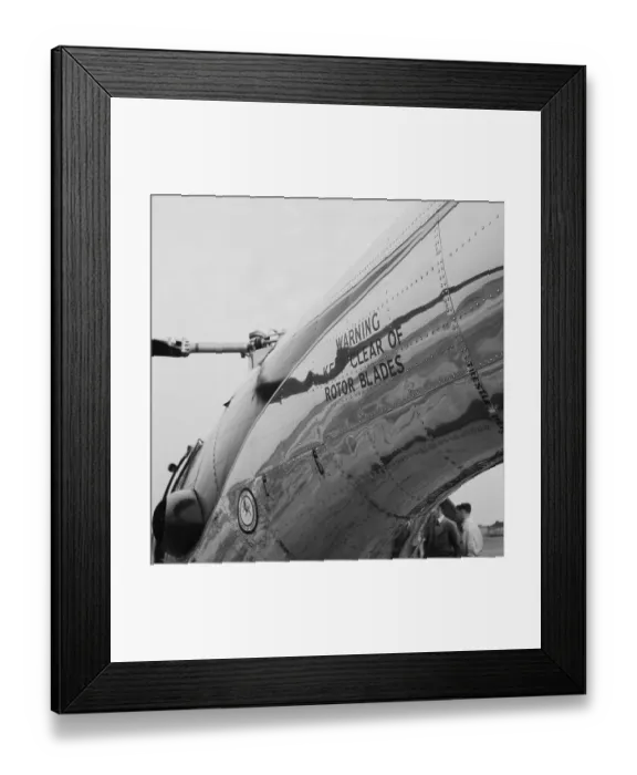 Framed Print : Bristol Sycamore Framed Print : Bristol Sycamore