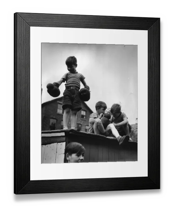 Framed Print : Watching Sparring Framed Print : Watching Sparring