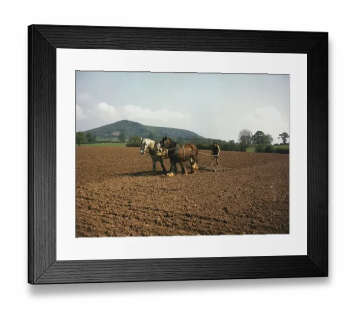 Framed Print : The English Scene Framed Print : The English Scene