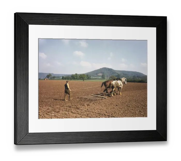 Framed Print : The English Scene Framed Print : The English Scene