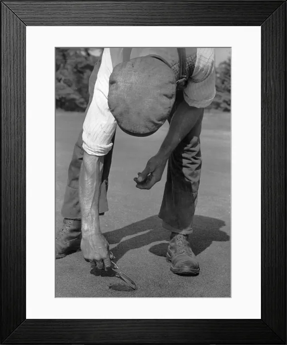 Framed Print : Hole Trimming Framed Print : Hole Trimming