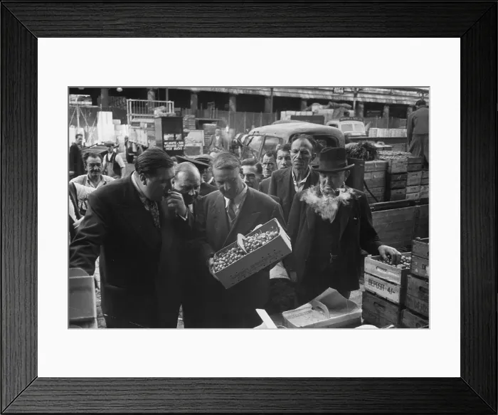 Framed Print : Cherry Tasting Framed Print : Cherry Tasting