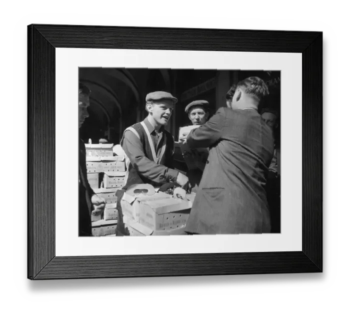Framed Print : Cherry Haggling Framed Print : Cherry Haggling