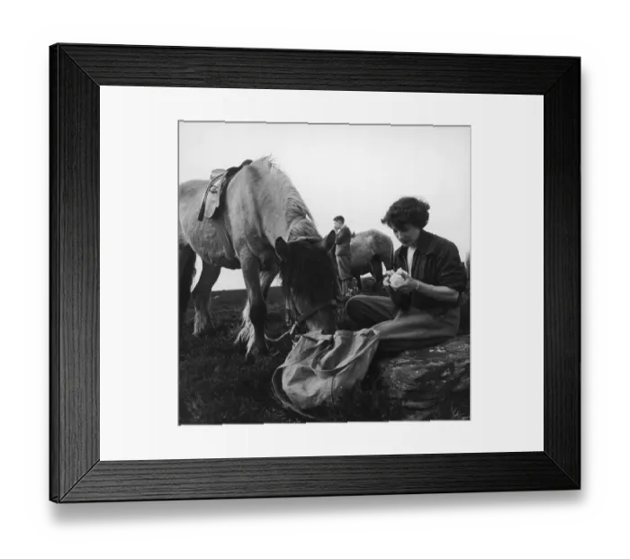 Framed Print : Riding Holiday Framed Print : Riding Holiday