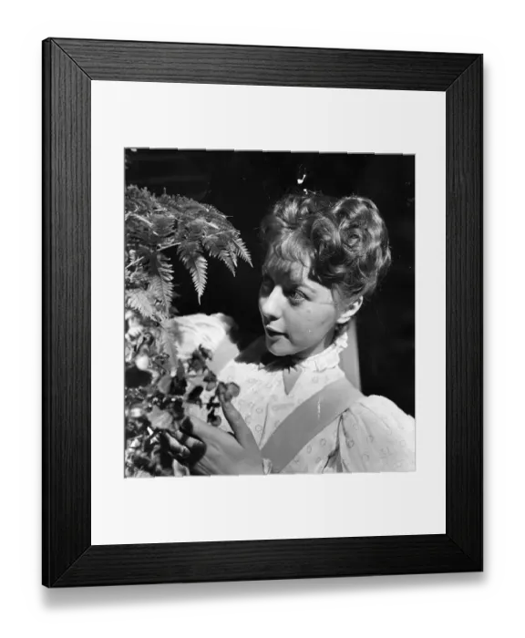 Framed Print : Being Ernest Framed Print : Being Ernest