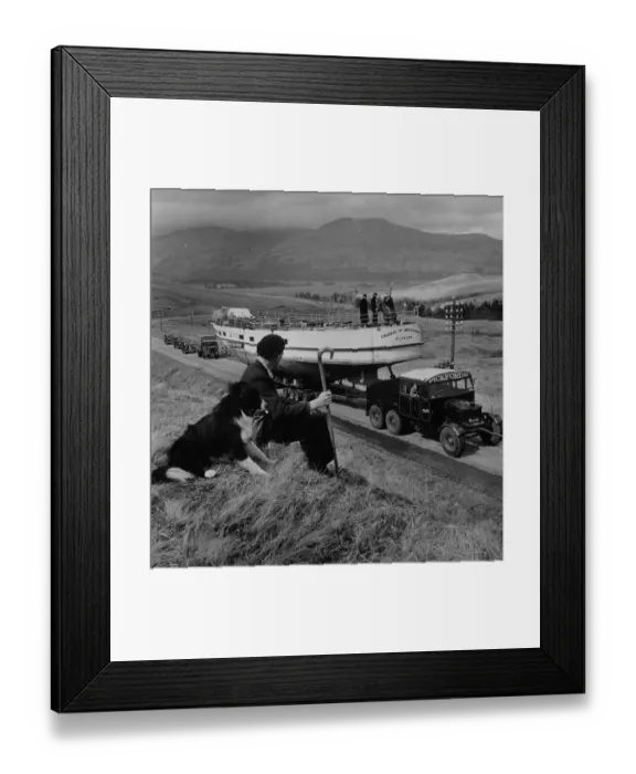 Framed Print : Countess On The Move Framed Print : Countess On The Move