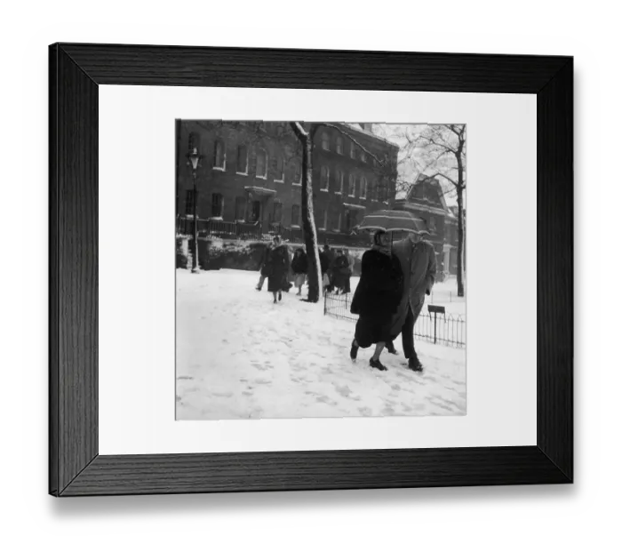 Framed Print : Spring Snow Framed Print : Spring Snow
