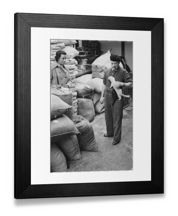 Framed Print : Women Reporters Framed Print : Women Reporters
