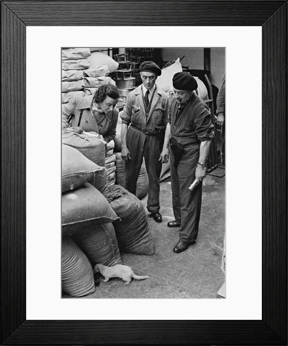Framed Print : Women Reporters
