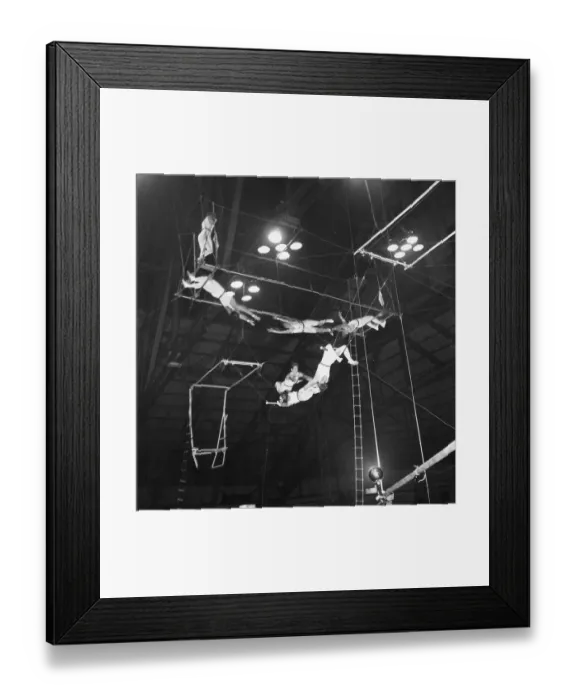 Framed Print : Flying Croneras Framed Print : Flying Croneras
