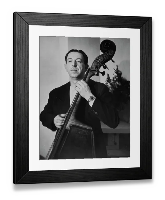 Framed Print : Double Bass Player Framed Print : Double Bass Player