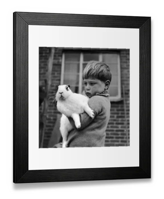 Framed Print : Bunny Love Framed Print : Bunny Love