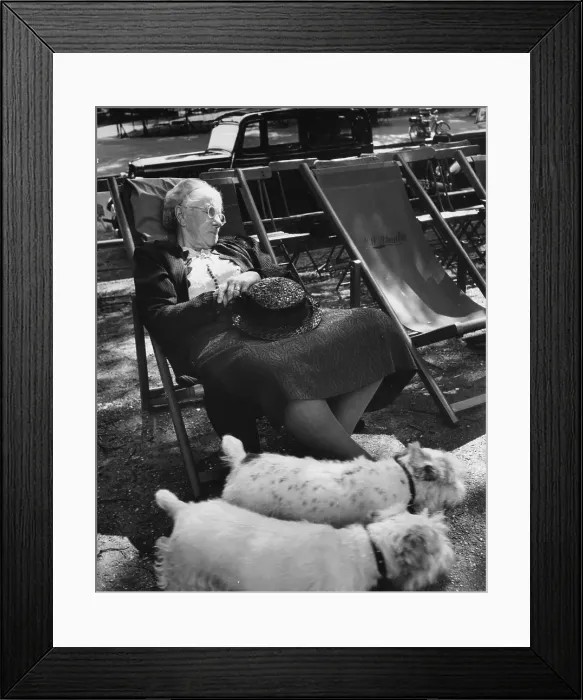 Framed Print : Sleeping In the Park Framed Print : Sleeping In the Park