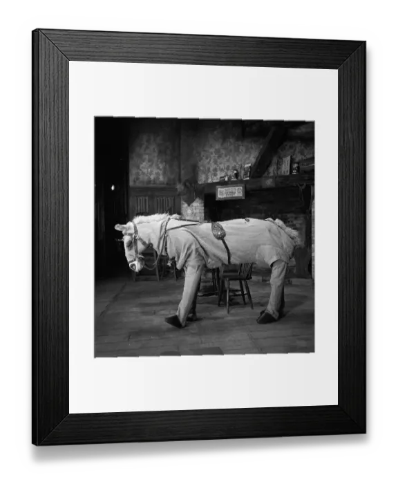 Framed Print : Panto Horse Framed Print : Panto Horse