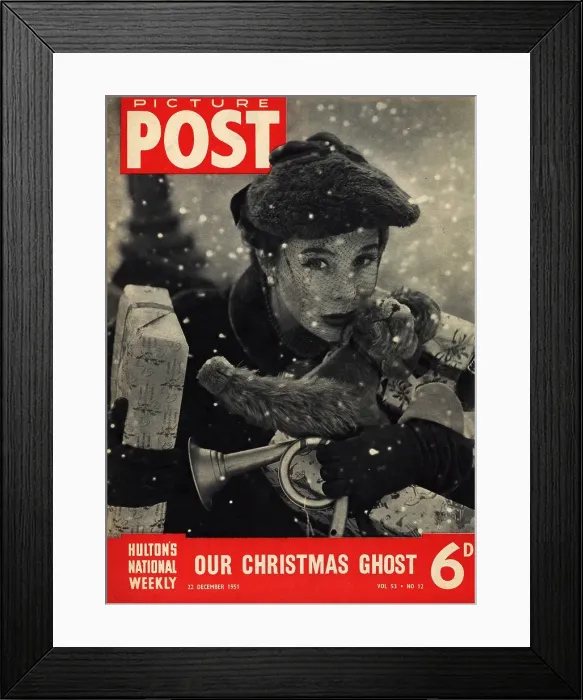Framed Print : Model Christmas